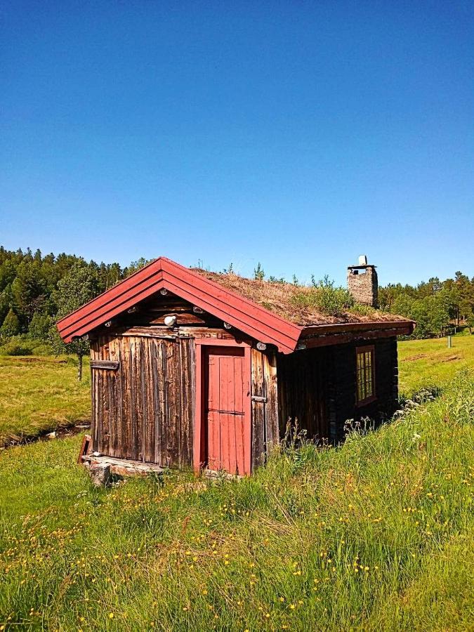 Rondane Friluftssenter Rondetunet Brenn Exterior foto