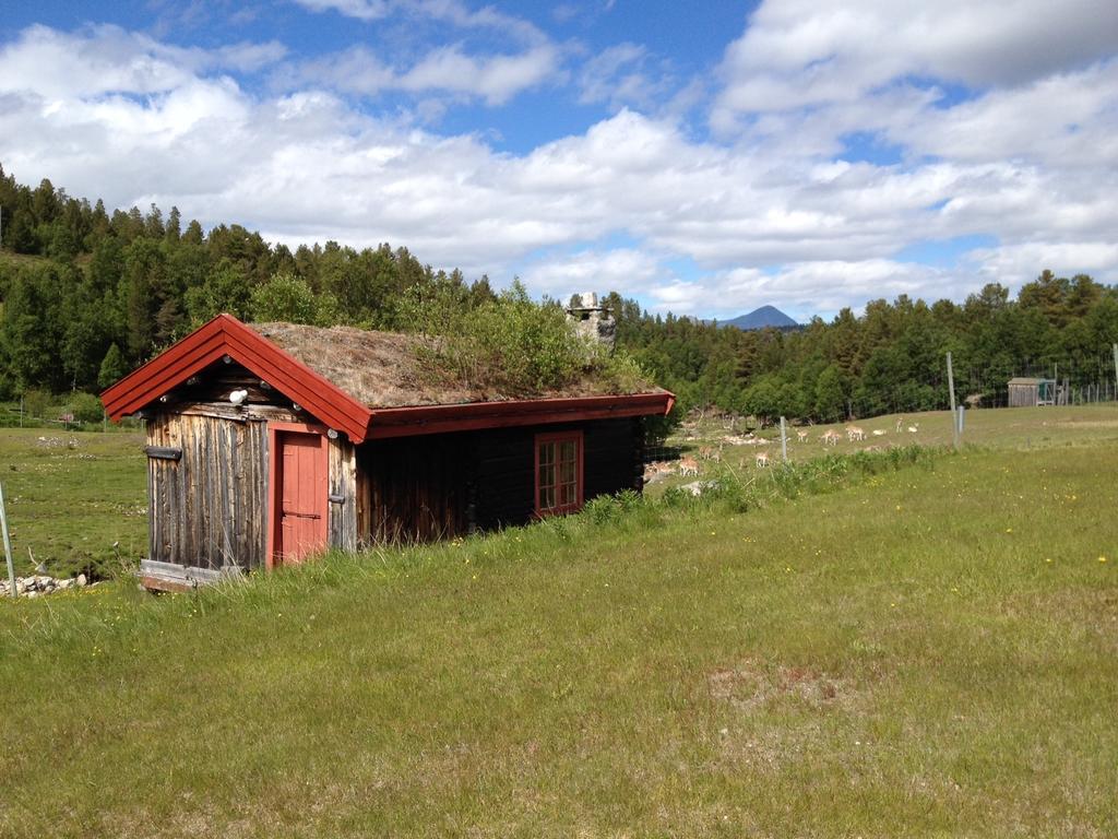 Rondane Friluftssenter Rondetunet Brenn Quarto foto