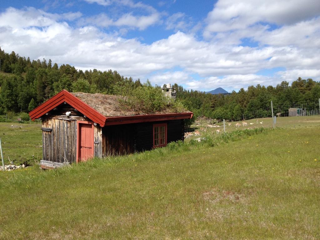 Rondane Friluftssenter Rondetunet Hotel Brenn Quarto foto